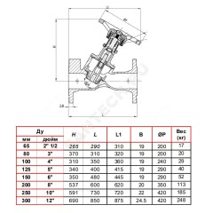 Клапан балансировочный чугун RC 4240 Ду 150 Ру16 фл Tecofi RC4240-0150