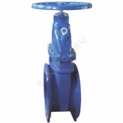 Задвижка чугун R55FLY аналог МЗВГ обрезиненный клин EPDM Ду 200 Ру16 фл Giacomini R55FLY020