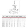 Клапан балансировочный ручной чугун R206BY Ду 65 Ру16 фл Kvs=74.4м3/ч с измерительными ниппелями Giacomini R206BY206