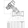 Клапан балансировочный ручной латунь MNT-R Ду 50 Rp2" Ру16 Тмакс=120 оС ВР Kvs=16м3/ч с измерительными ниппелями Ридан 003Z2351R